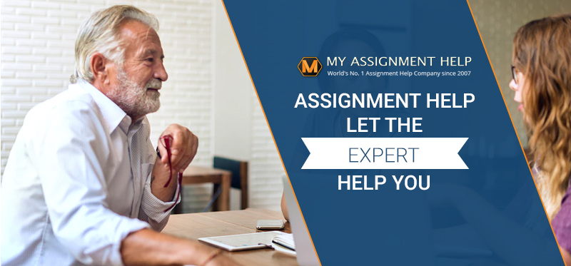 my assignment expert help