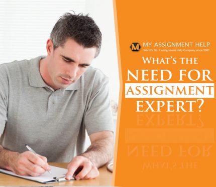 Assignment Expert