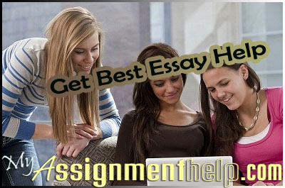 Custom UK Essay Writing Services & help  Speedy Essay