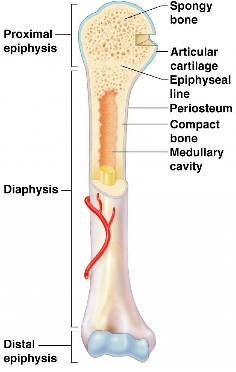 Absorb biology informations