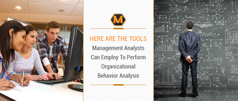 Here Are the Tools Management Analysts Can Employ To Perform Organizational Behavior Analysis