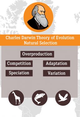 Darwin theory of evolution