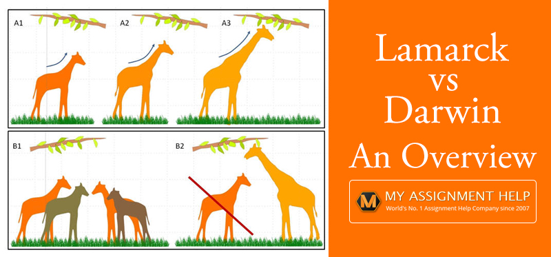 Lamarck Vs. Darwin Theory Of Evolution