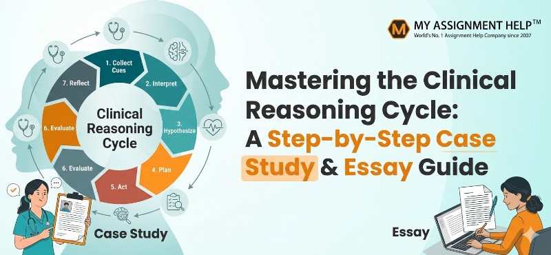 Mastering the Clinical Reasoning Cycle: A Step-by-Step Case Study & Essay Guide