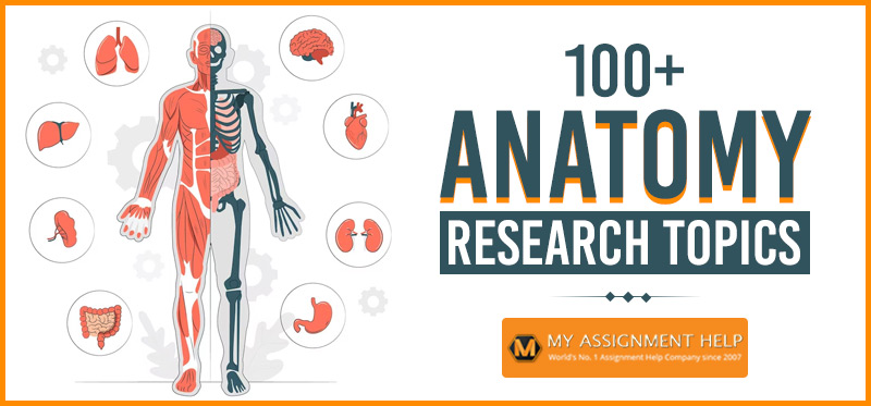 100+ Trending Anatomy Research Topics