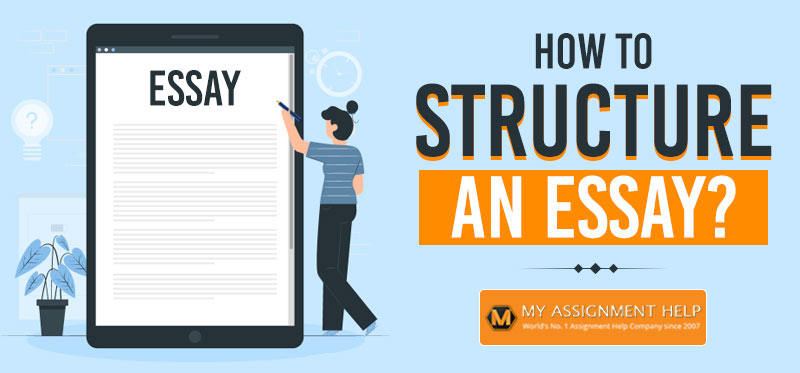 How to Structure an Essay: A Clear, Step-by-Step Guide with Examples
