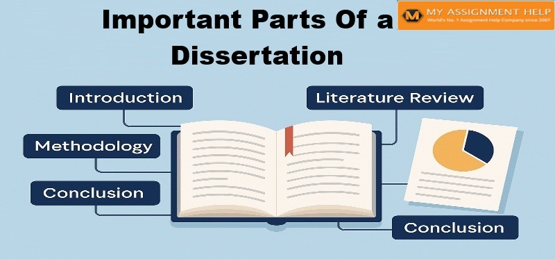 Important Part of Dissertation