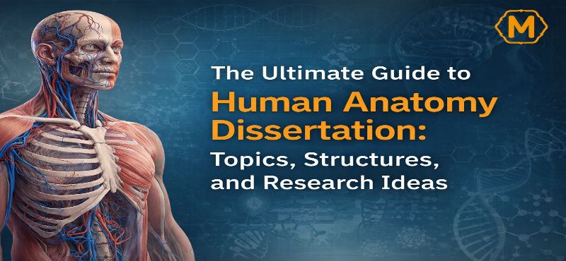 The Ultimate Guide to Human Anatomy Dissertation: Topics, Structures, and Research Ideas