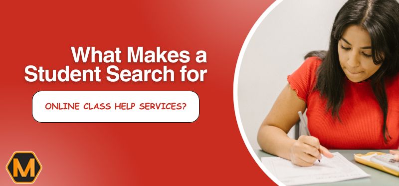 What Makes a Student Search for Online Class Help Services?