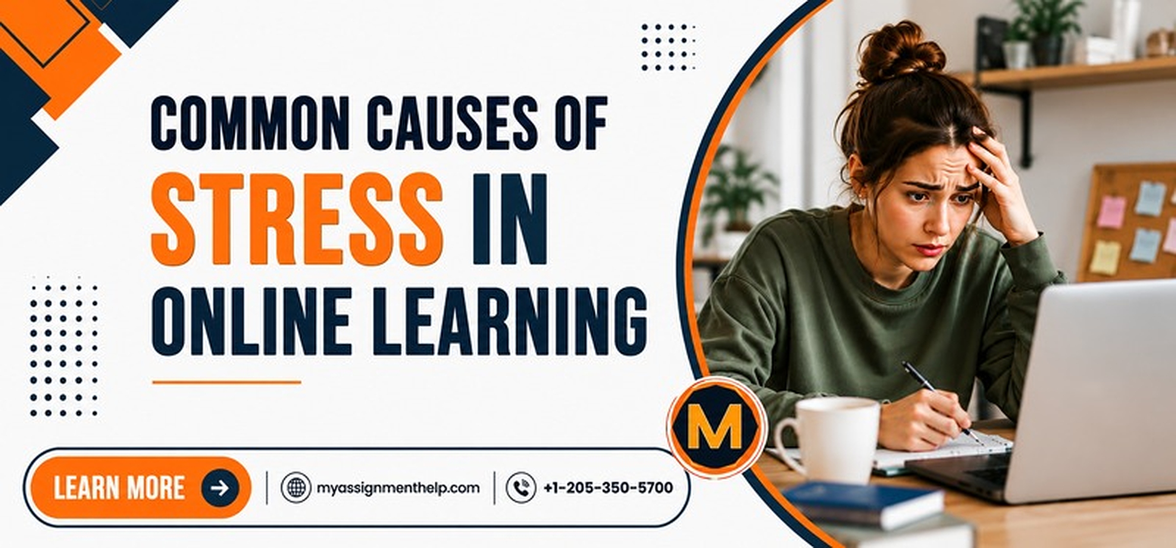 Common Causes of Stress in Online Learning