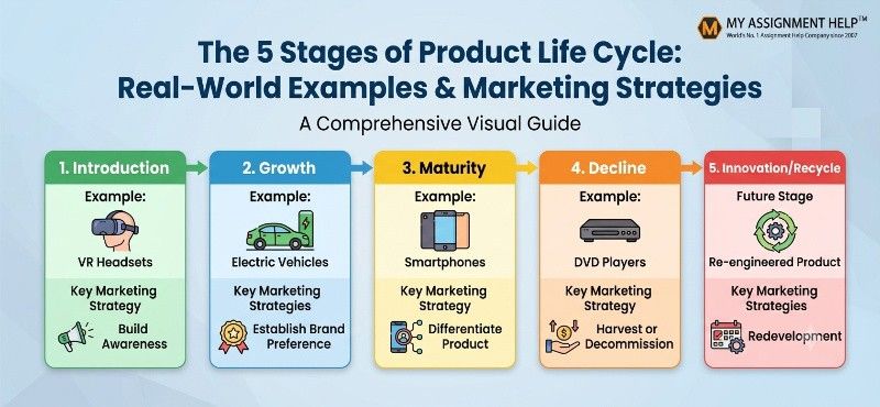 The 5 Stages of Product Life Cycle: Real-World Examples & Marketing Strategies
