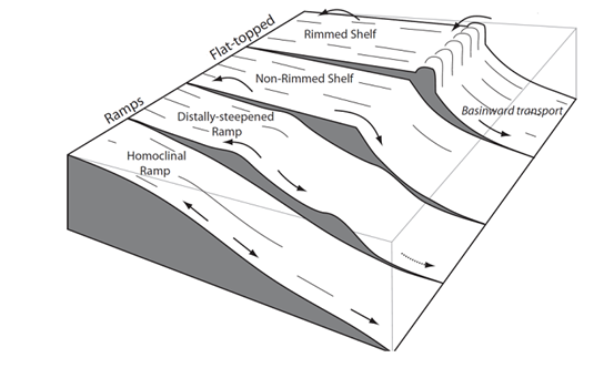 Organodiagenetic Dolomite on a Deep Subtidal Shelf, Fort