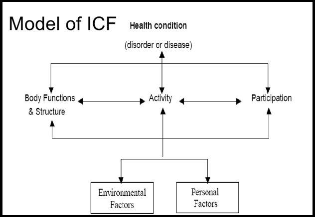 Individual ICF model