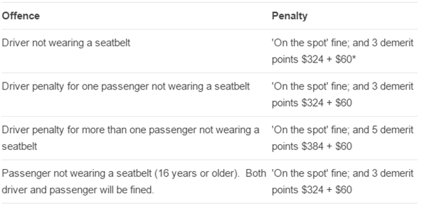 Punishment for breaking seat belt law
