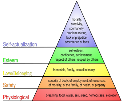 Understanding Special Needs in Health and Social Care