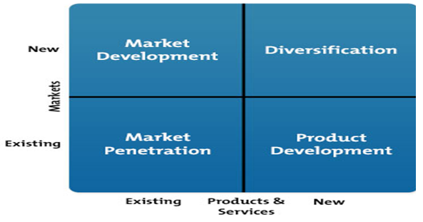 KONE: Strategic Review with Digital Marketing Essay.