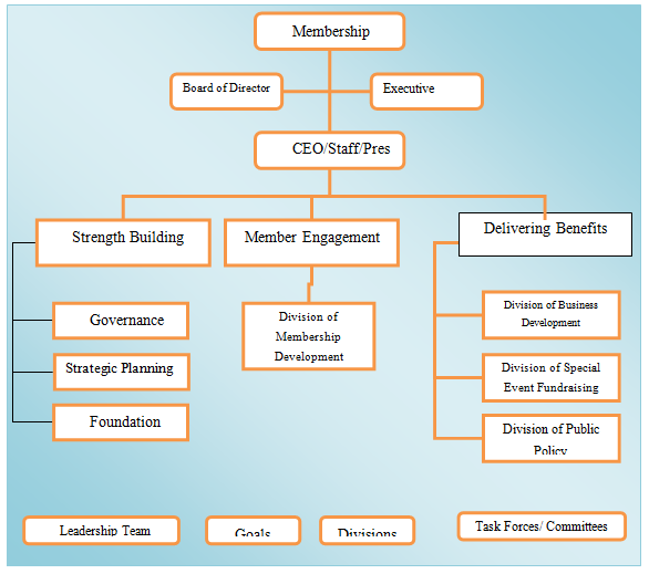Association organization chart picture