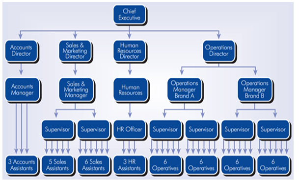 Kroger Org Chart