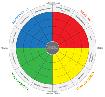 Org Development Plan: Goals - Activities - Implementation