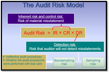 risk audit model inherent