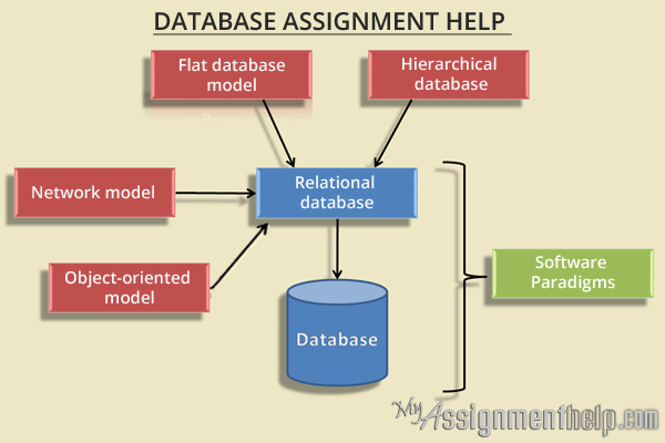 assignment on database management system