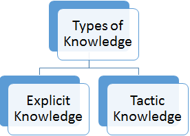 Explicit Knowledge: