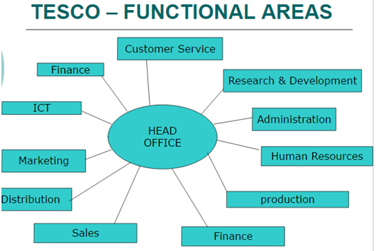 functional areas and managerial roles Managerial roles within the functional areas of a business 1026 words | 5 pages managerial roles within functional areas of business adriana tovar for a business to succeed there are lots of things and people required but among the most important people needed, the managers are the most essential and can make a difference between. functional areas and managerial roles Managerial roles within the functional areas of a business 1026 words | 5 pages managerial roles within functional areas of business adriana tovar for a business to succeed there are lots of things and people required but among the most important people needed, the managers are the most essential and can make a difference between.