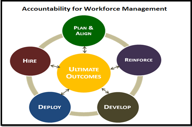 strategic human resource development role of hr professionals