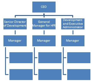 Ymca Organizational Chart