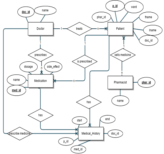 Entity - Relationship Diagram