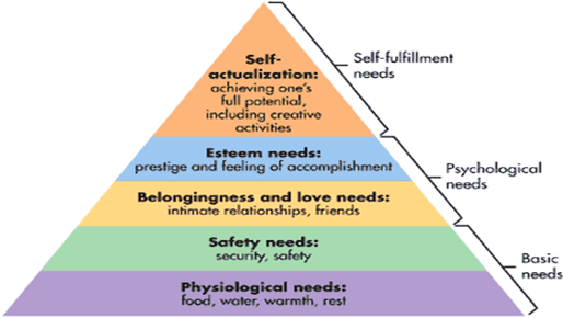 Influences & Mitigation of Management Structures & Controls essay.