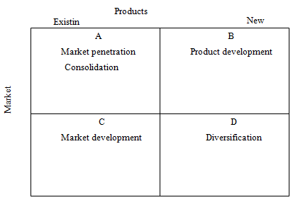 case study on bcg matrix application case study on bcg matrix application